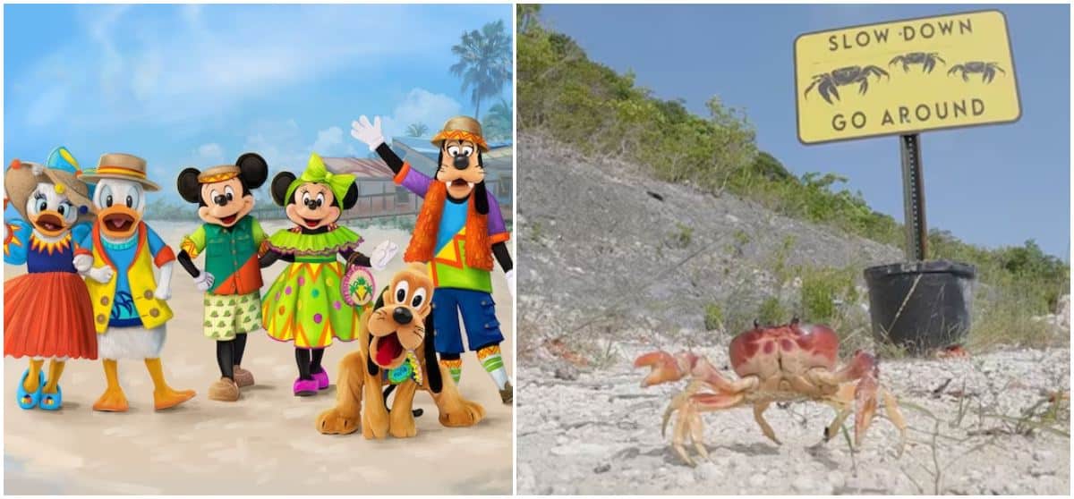 Disney's Lookout Cay Character Costumes and Wildlife You Will Encounter