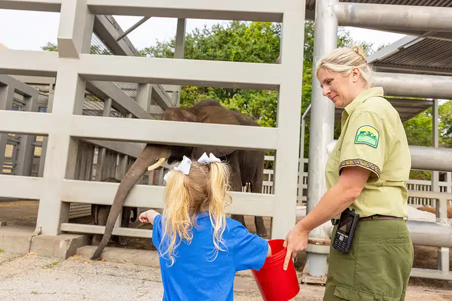 Make-A-Wish at Disney's Animal Kingdom - Corra Meets Cora!