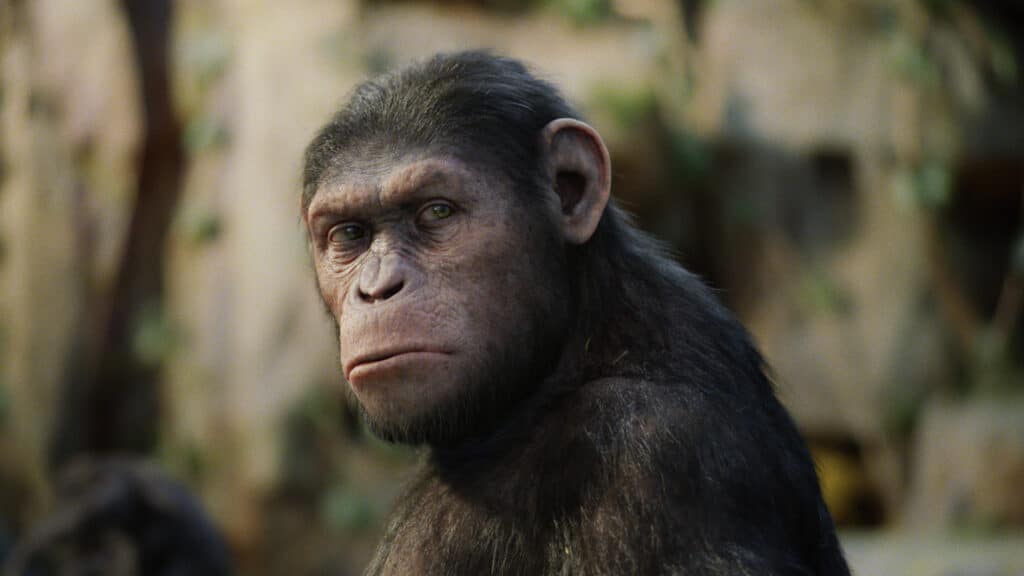 D23's Favorite Monkeys and Apes to Celebrate Kingdom of the Planet of the Apes in Theaters Now