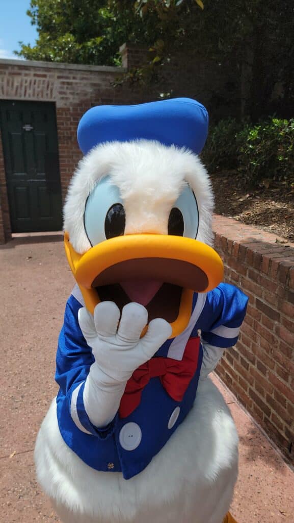 Epcot Character Palooza: Take Your Chances in Meeting Disney Characters