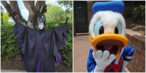 Epcot Character Palooza: Take Your Chances in Meeting Disney Characters