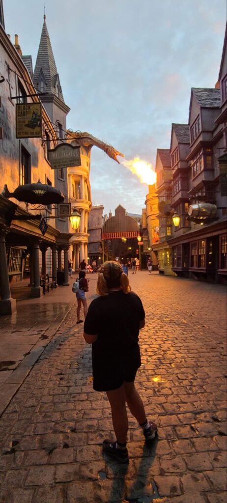 Death Eaters return to The Wizarding World of Harry Potter – Diagon Alley in Universal Studios Florida