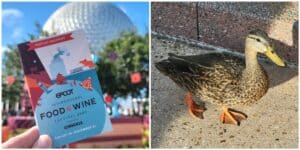 Food & Wine & Cheese & Merch & Friends & Ducks - Epcot International Food & Wine 2024 Has Begun