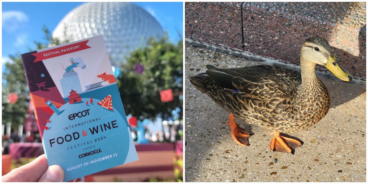 Food & Wine & Cheese & Merch & Friends & Ducks - Epcot International Food & Wine 2024 Has Begun