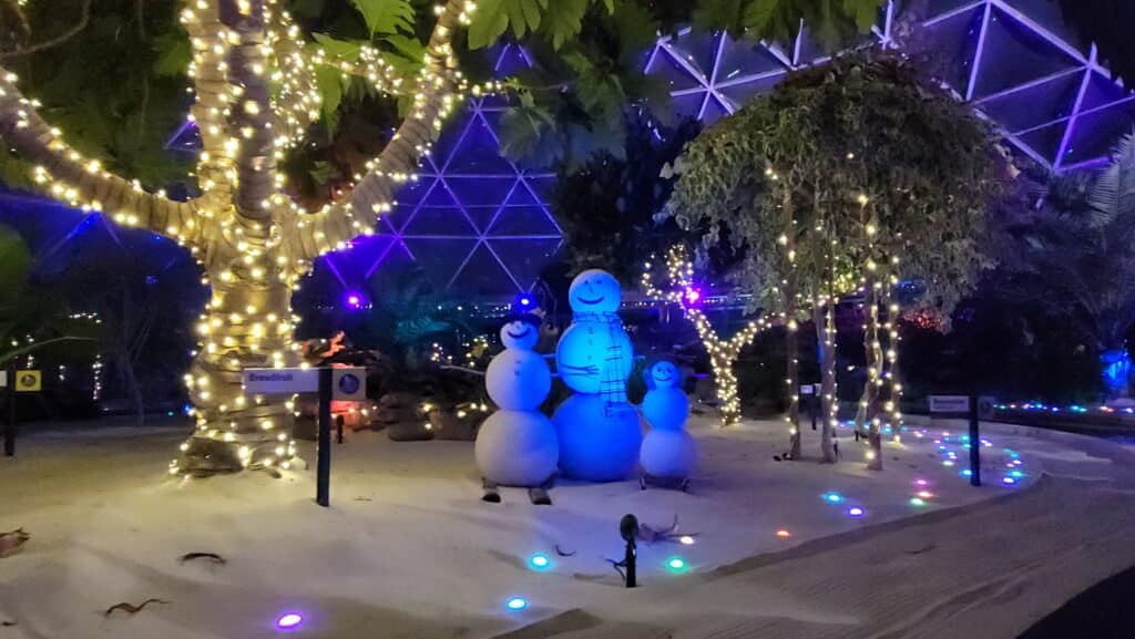 Behind the Seeds: Glimmering Greenhouses Tour Coming to Epcot Festival of the Holidays 2024