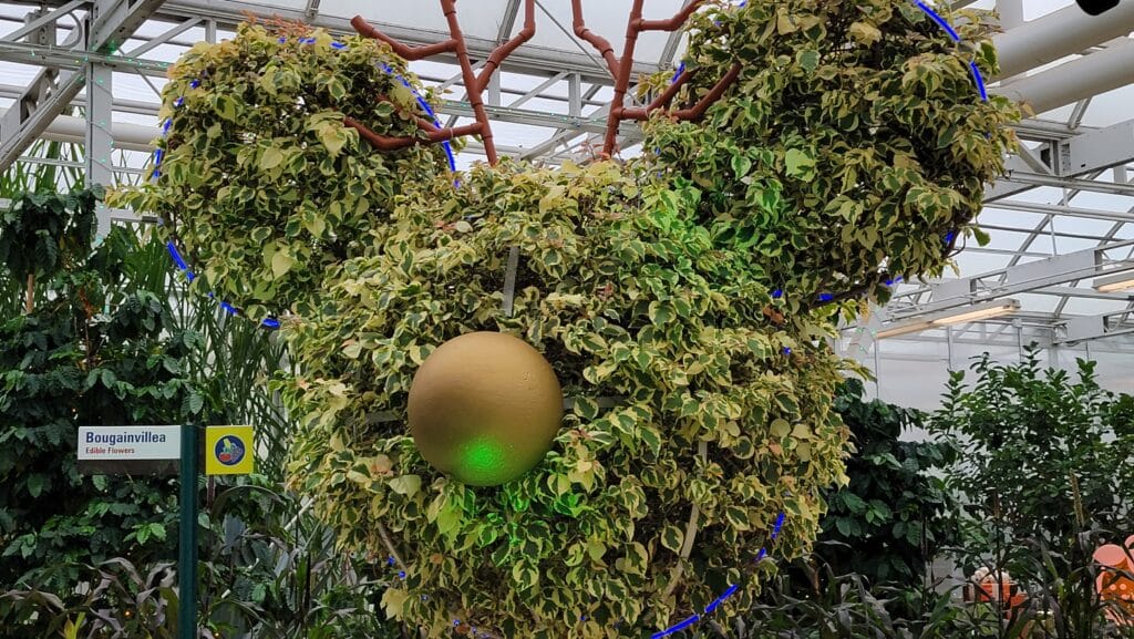 Behind the Seeds: Glimmering Greenhouses Tour Coming to Epcot Festival of the Holidays 2024