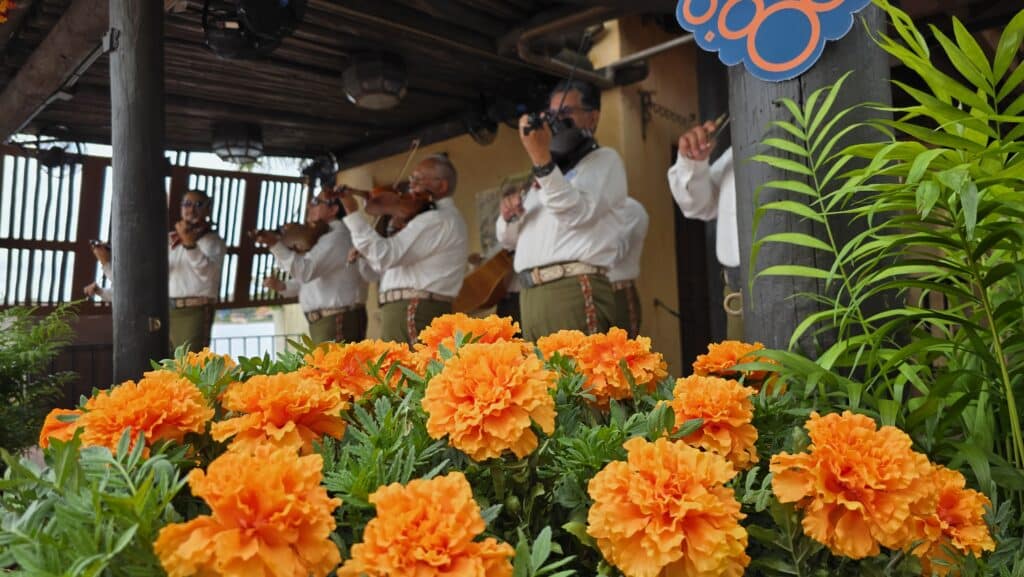 Pixar's Coco 'Miguel' Joins Mariachi Cobra in Epcot for Together We Are Magia Video