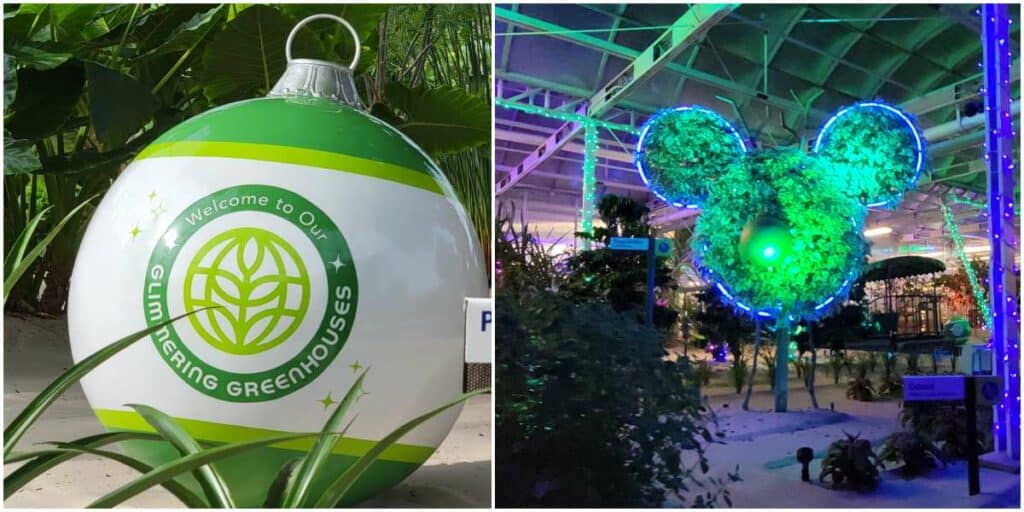 Behind the Seeds: Glimmering Greenhouses Tour Coming to Epcot Festival of the Holidays 2024