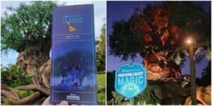 Moonlight Magic Returns: More Dates Added for DVC Members in 2024 and 2025