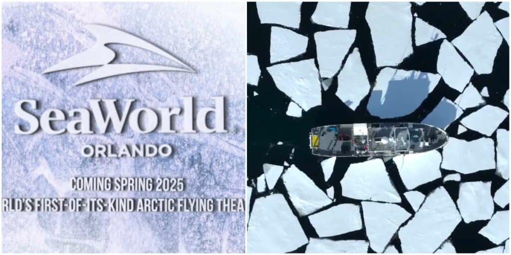 World's First-of-its-Kind Arctic Flying Theater Coming to SeaWorld Orlando