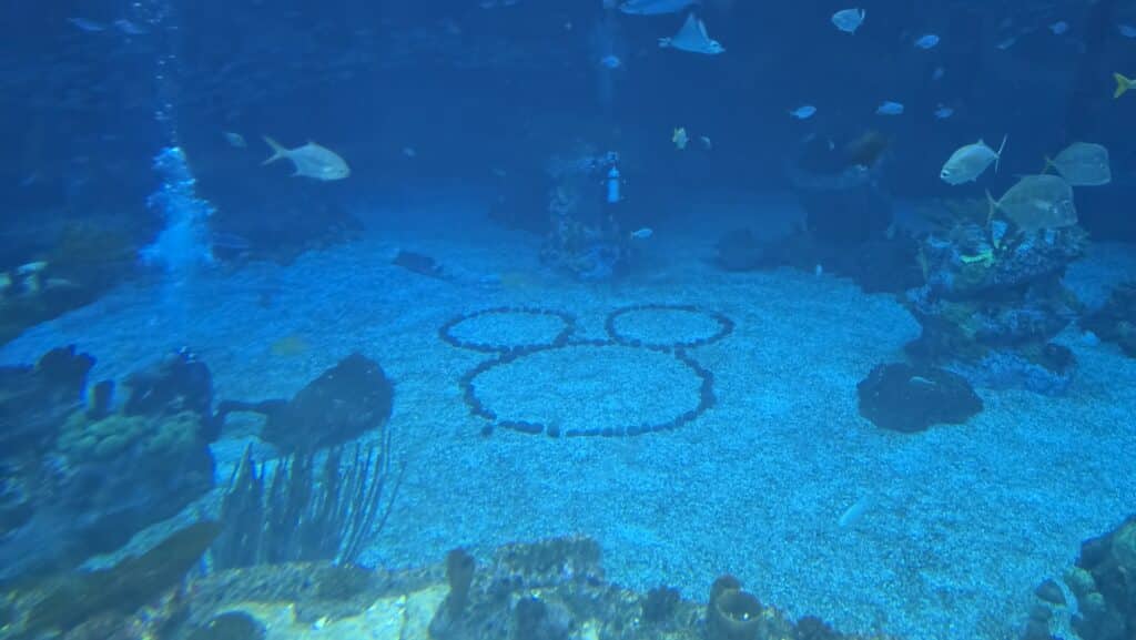 "so long and thanks for all the fish!" - Last Chance to See the Dolphins at Walt Disney World