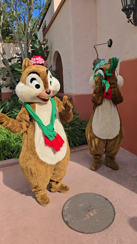 Chip & Dale Return to Hollywood Studios in Holiday Outfits
Chip 'n Dale in their holiday outfits