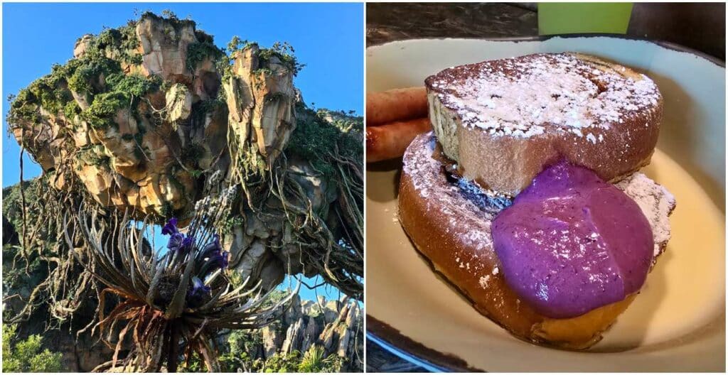 Breakfast on Pandora at Satu'li Canteen Returns and is Delicious—Disney's Animal Kingdom World of Avatar